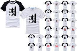 Camiseta Kungfu Taichi, Hongfang