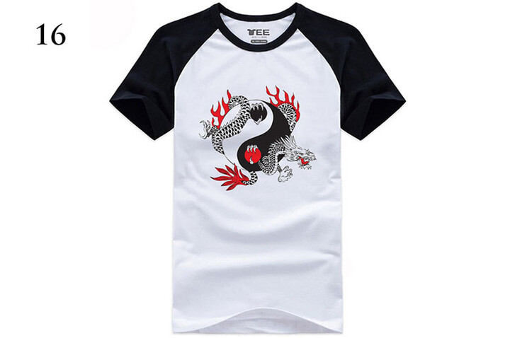 Camiseta Kungfu Taichi, Hongfang