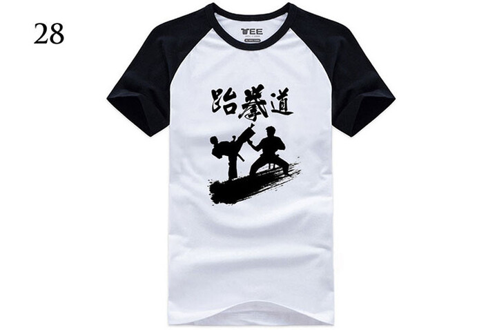 Camiseta Kungfu Taichi, Hongfang