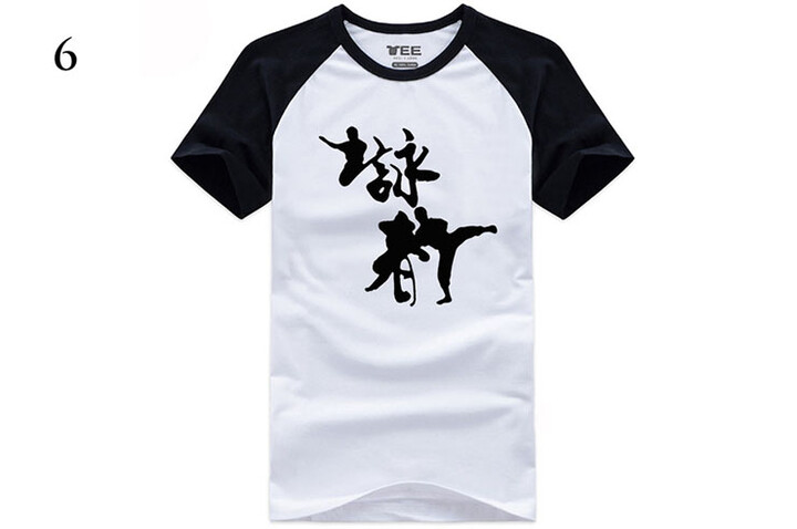 Camiseta Kungfu Taichi, Hongfang