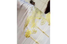 Vestido Tai Chi Bordado, Fénix 3