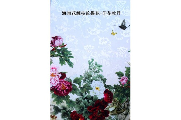 Hanfu, Vestido Chinês Tradicional, Mulher 9