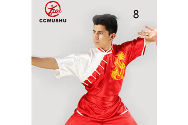 Vestido Chang Quan Dragão «CCWUSHU » 1