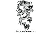 DragonSports